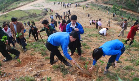 Đoàn viên thanh niên tích cực trồng cây xanh