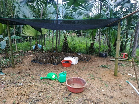 Huyện đoàn Lâm Bình triển khai mô hình vườn ươm thanh niên